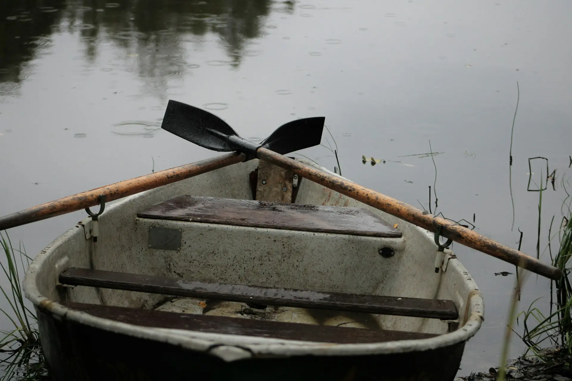 white and brown boat on lake during daytime